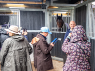 WG031025-68 - Jaramillo